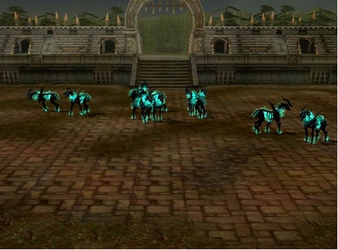 카오스 아레나 진행